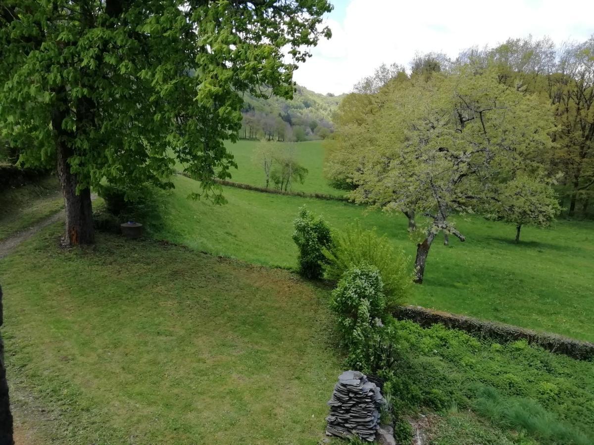 Maison A La Campagne Au Coeur Du Cantal Dept 15 Marmanhac Exteriör bild
