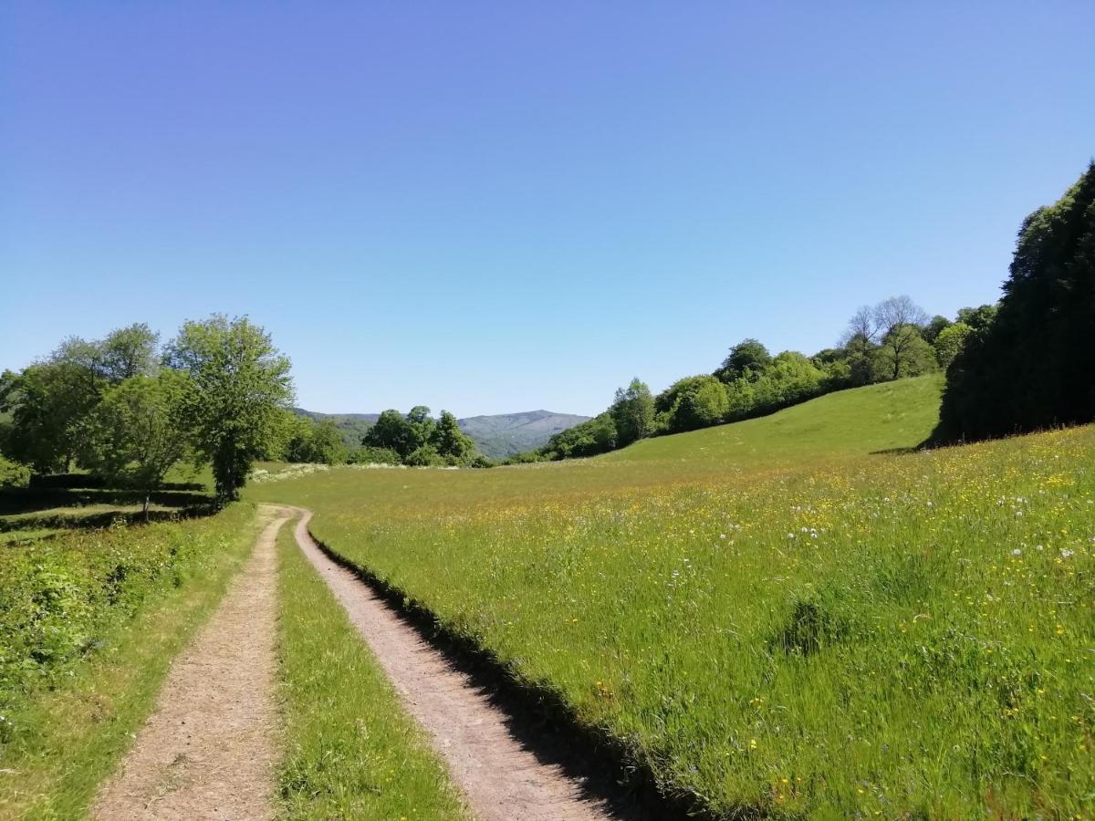 Maison A La Campagne Au Coeur Du Cantal Dept 15 Marmanhac Exteriör bild